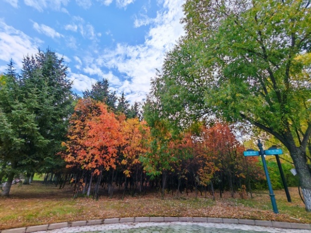 VCG111519971986_副本.jpg
